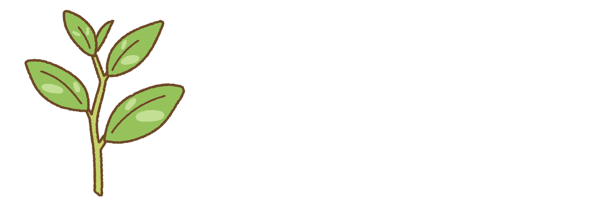 Japanese Tea Academy by Koto